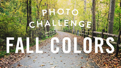 Photo Challenge: Fall Colors