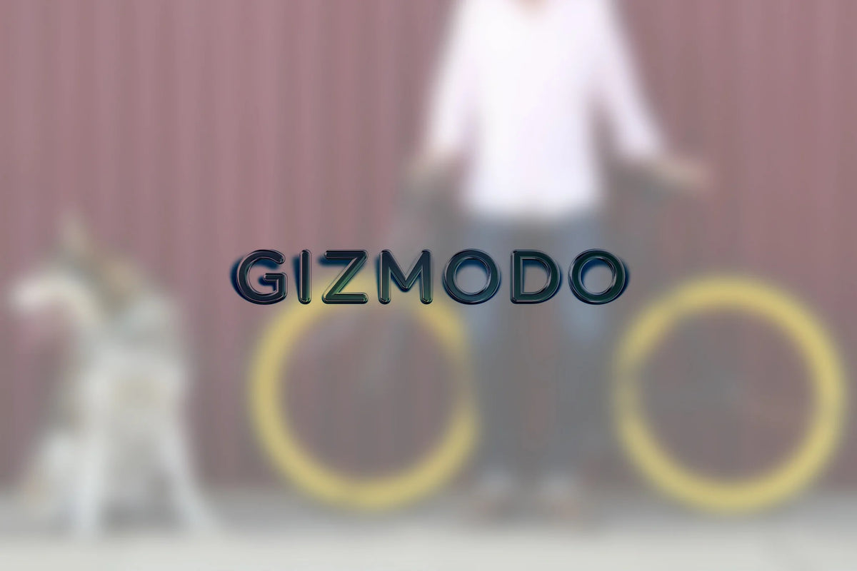Gizmodo