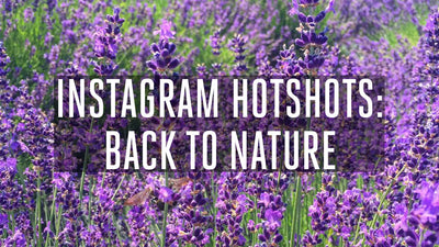 Instagram Hotshots III: Back to Nature