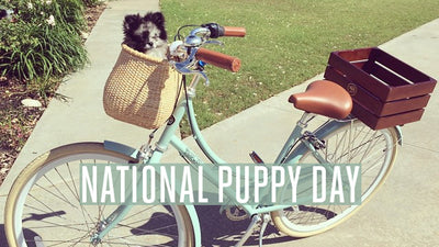 National Puppy Day!