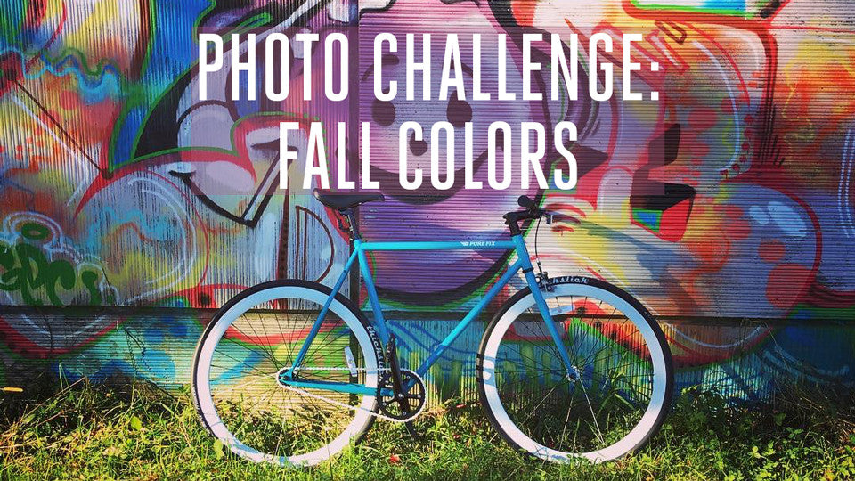 Photo Challenge: Fall Colors - Winner!