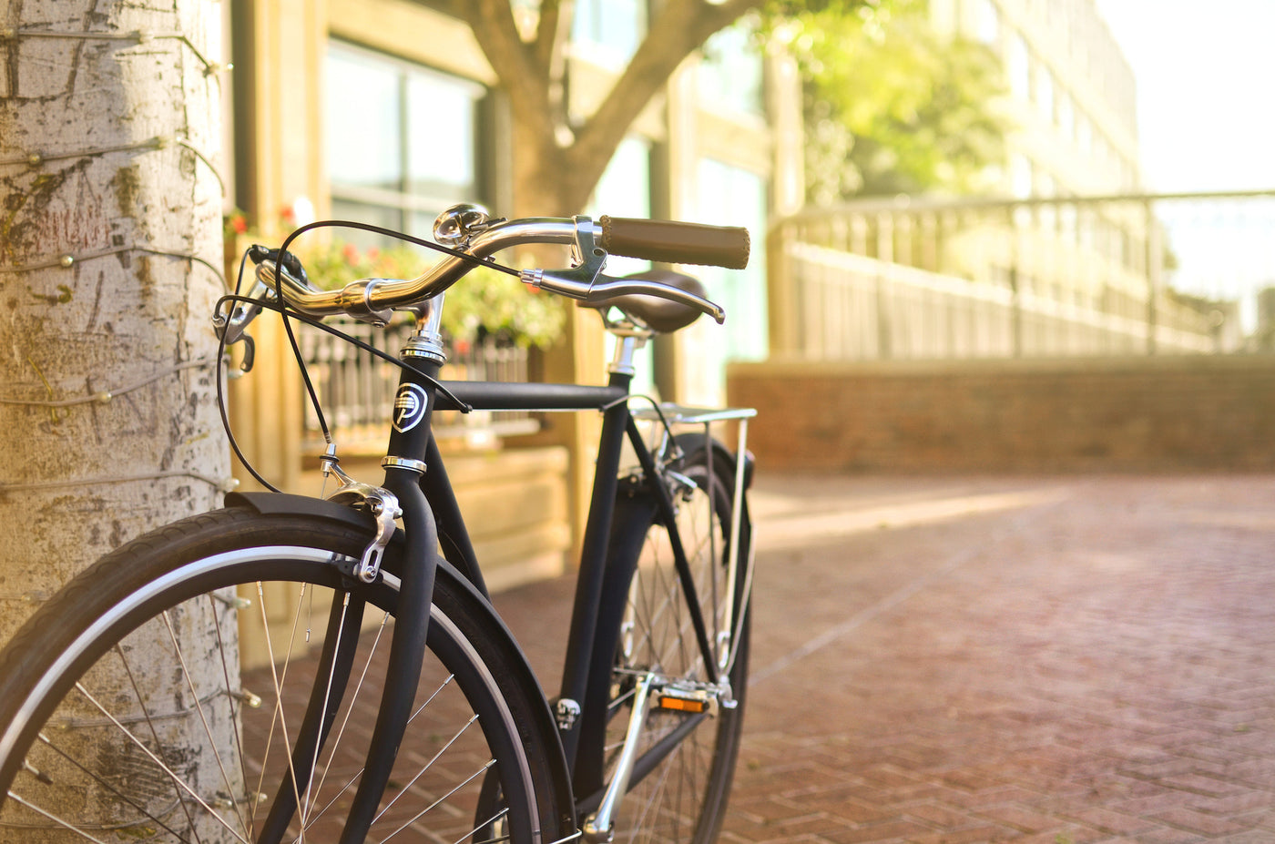 City Classic Bike - 8 Speed